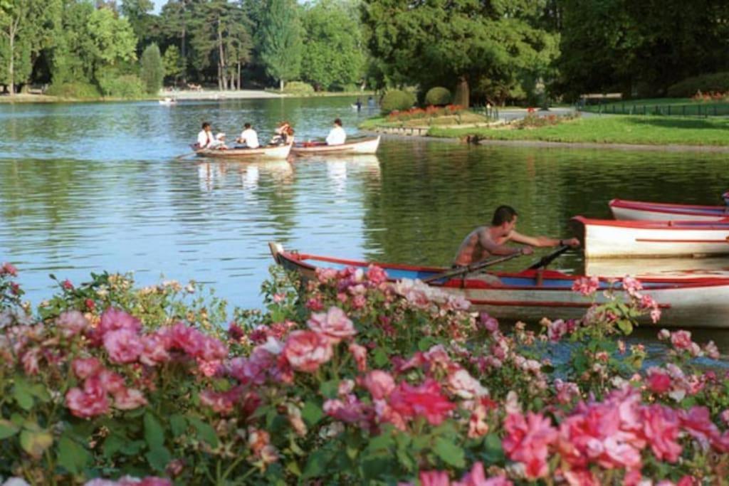 Lovely Apartment Betwen Paris And Eurodisney Nogent-sur-Seine Buitenkant foto